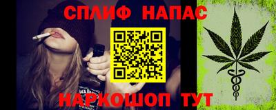 гашик Пыть-Ях