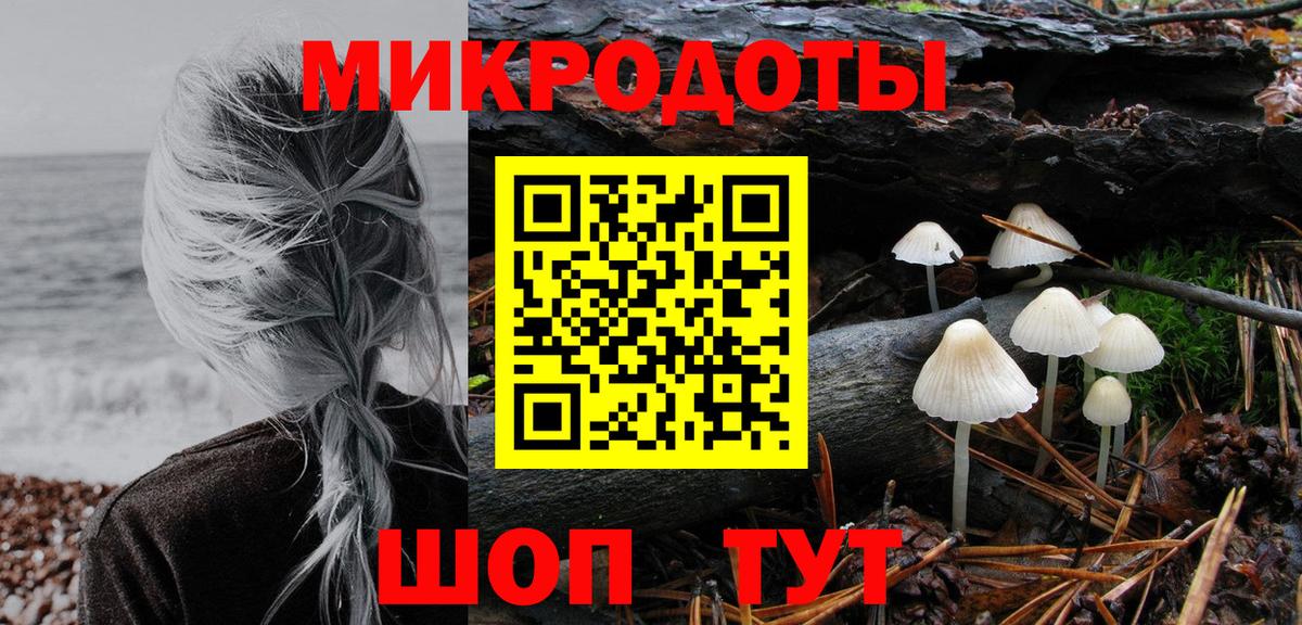 цены наркотик  Псилоцибиновые грибы Psilocybine cubensis  Вход с VPN  Сланцы 