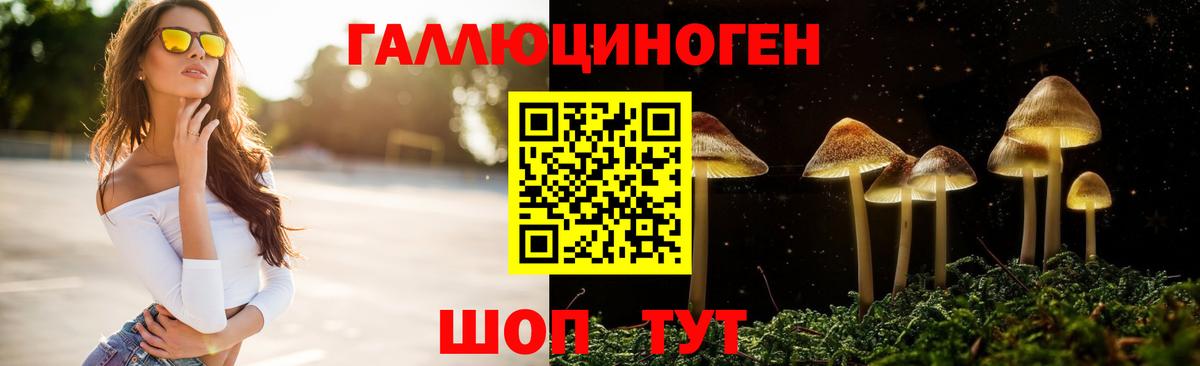 Галлюциногенные грибы мицелий Сланцы